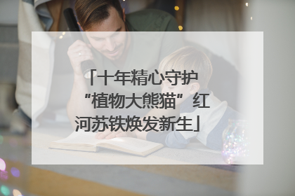 十年精心守护 “植物大熊猫”红河苏铁焕发新生