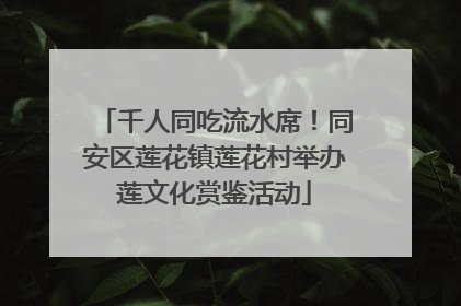 千人同吃流水席！同安区莲花镇莲花村举办莲文化赏鉴活动