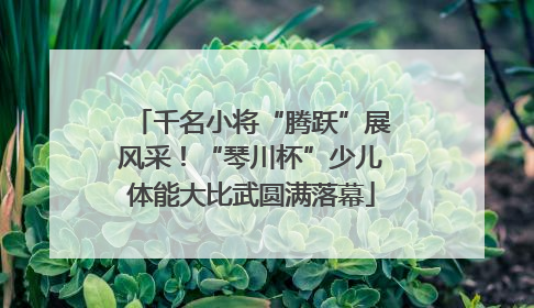 千名小将“腾跃”展风采！“琴川杯”少儿体能大比武圆满落幕