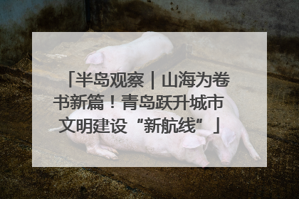 半岛观察｜山海为卷书新篇！青岛跃升城市文明建设“新航线”