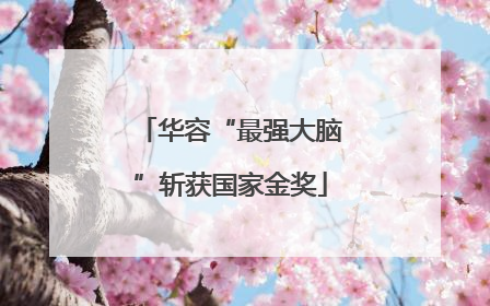 华容“最强大脑”斩获国家金奖