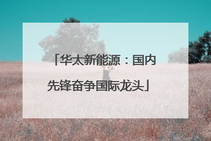 华太新能源：国内先锋奋争国际龙头