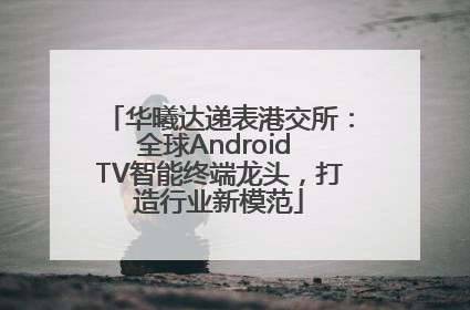华曦达递表港交所:全球Android TV智能终端龙头,打造行业新模范