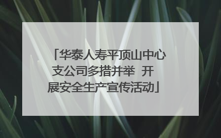 华泰人寿平顶山中心支公司多措并举  开展安全生产宣传活动