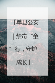 单县公安｜禁毒“童”行，守护成长