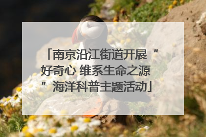 南京沿江街道开展“好奇心 维系生命之源”海洋科普主题活动