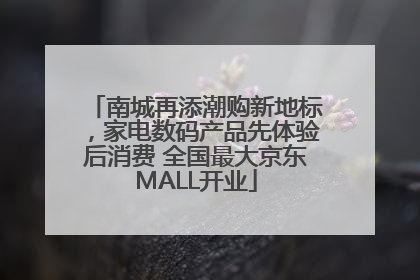 南城再添潮购新地标，家电数码产品先体验后消费 全国最大京东MALL开业