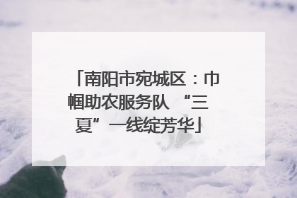 南阳市宛城区：巾帼助农服务队 “三夏”一线绽芳华
