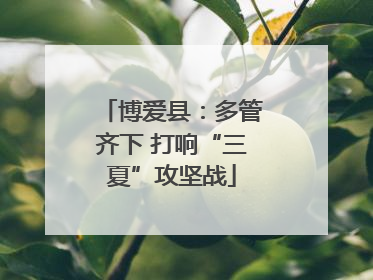 博爱县：多管齐下 打响“三夏”攻坚战
