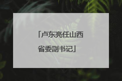 卢东亮任山西省委副书记