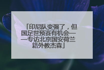 印尼队变强了，但国足世预赛有机会——专访北京国安荷兰籍外教杰森