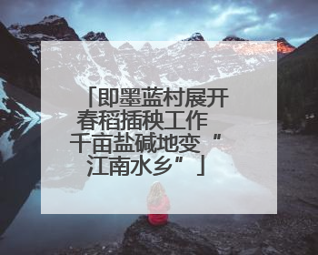 即墨蓝村展开春稻插秧工作 千亩盐碱地变“江南水乡”
