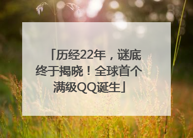 历经22年，谜底终于揭晓！全球首个满级QQ诞生