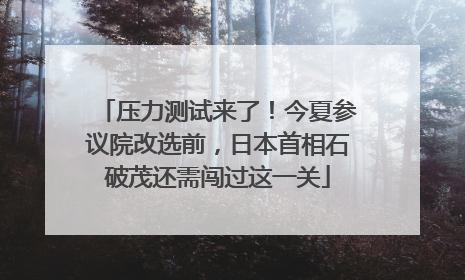 压力测试来了！今夏参议院改选前，日本首相石破茂还需闯过这一关