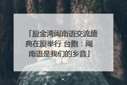 厦金湾闽南语交流盛典在厦举行 台胞：闽南语是我们的乡音