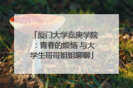 厦门大学嘉庚学院：青春的烦恼 与大学生哥哥姐姐聊聊