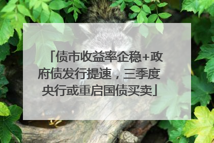 债市收益率企稳+政府债发行提速，三季度央行或重启国债买卖