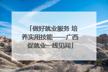 做好就业服务 培养实用技能——广西促就业一线见闻