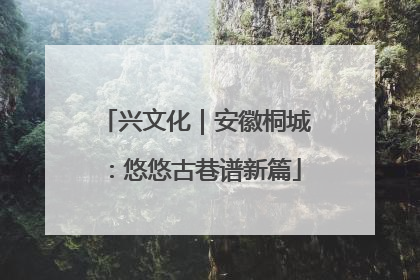 兴文化｜安徽桐城：悠悠古巷谱新篇