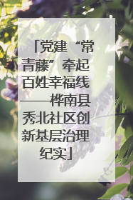党建“常青藤”牵起百姓幸福线——桦南县秀北社区创新基层治理纪实