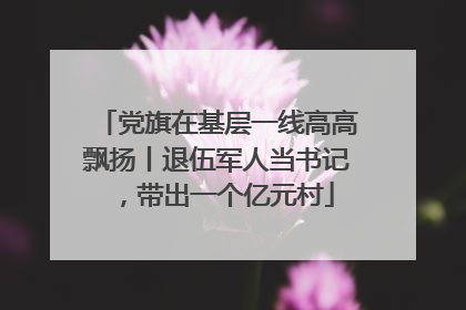 党旗在基层一线高高飘扬丨退伍军人当书记，带出一个亿元村