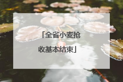 全省小麦抢收基本结束