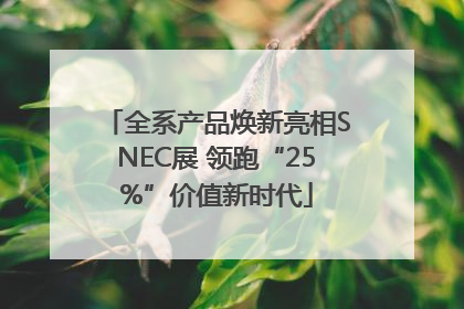 全系产品焕新亮相SNEC展 领跑“25%”价值新时代
