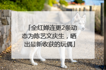 全红婵连更2条动态为陈艺文庆生，晒出最新收获的玩偶