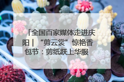全国百家媒体走进庆阳｜“剪云裳”惊艳香包节：剪纸跃上华服 非遗焕发新彩