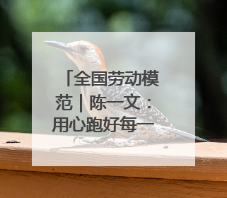 全国劳动模范｜陈一文：用心跑好每一单 用爱回馈这座城
