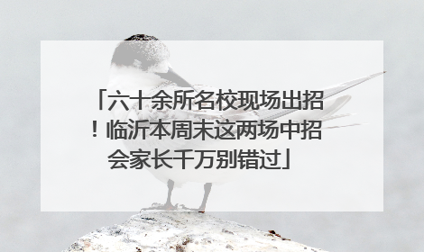 六十余所名校现场出招！临沂本周末这两场中招会家长千万别错过