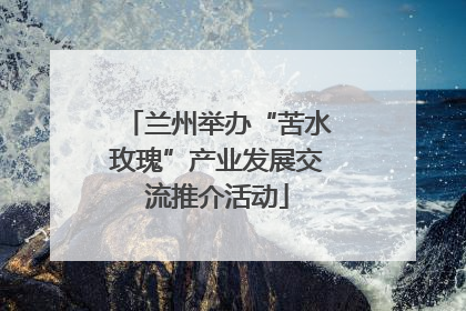 兰州举办“苦水玫瑰”产业发展交流推介活动