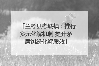 兰考县考城镇：推行多元化解机制 提升矛盾纠纷化解质效