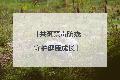共筑禁毒防线 守护健康成长