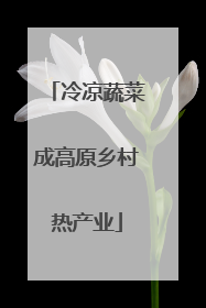 冷凉蔬菜成高原乡村热产业