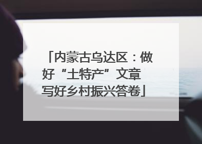内蒙古乌达区：做好“土特产”文章 写好乡村振兴答卷