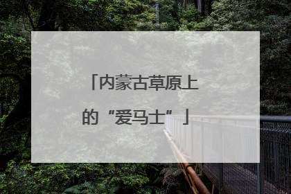 内蒙古草原上的“爱马士”