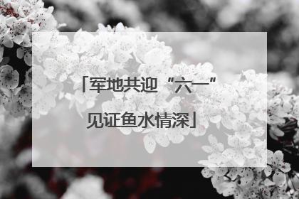 军地共迎“六一” 见证鱼水情深