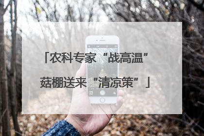 农科专家“战高温” 菇棚送来“清凉策”