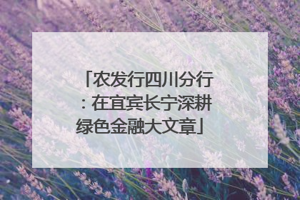 农发行四川分行：在宜宾长宁深耕绿色金融大文章