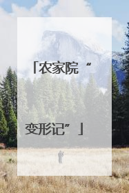 农家院“变形记”
