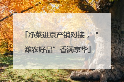 净菜进京产销对接，“潍农好品”香满京华