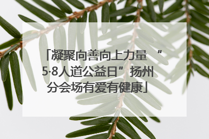 凝聚向善向上力量 “5·8人道公益日”扬州分会场有爱有健康