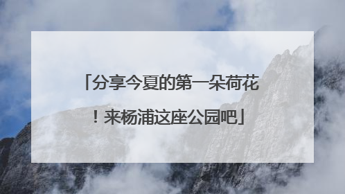 分享今夏的第一朵荷花！来杨浦这座公园吧