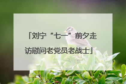 刘宁“七一”前夕走访慰问老党员老战士