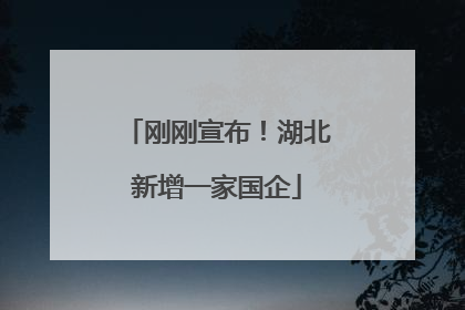 刚刚宣布！湖北新增一家国企