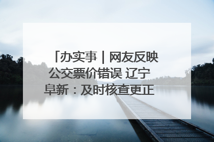 办实事｜网友反映公交票价错误 辽宁阜新：及时核查更正 加强实时巡检