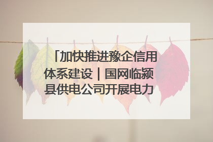 加快推进豫企信用体系建设｜国网临颍县供电公司开展电力行业信用企业现场咨询访谈工作