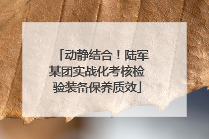 动静结合！陆军某团实战化考核检验装备保养质效