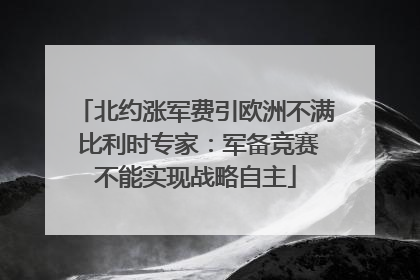 北约涨军费引欧洲不满 比利时专家：军备竞赛不能实现战略自主